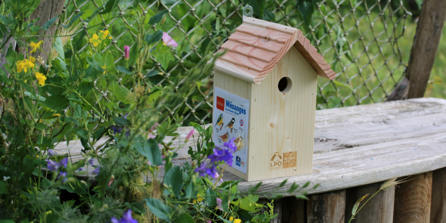 Nichoir du coffret Refuge LPO jardin © Nicolas Macaire / LPO